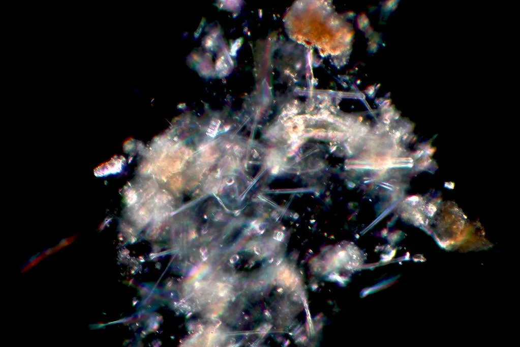 Mineral crystals photographed against the light on a black background