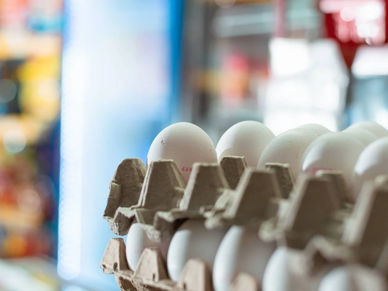 Cardboard egg boxes with white eggs lined up on a shop display