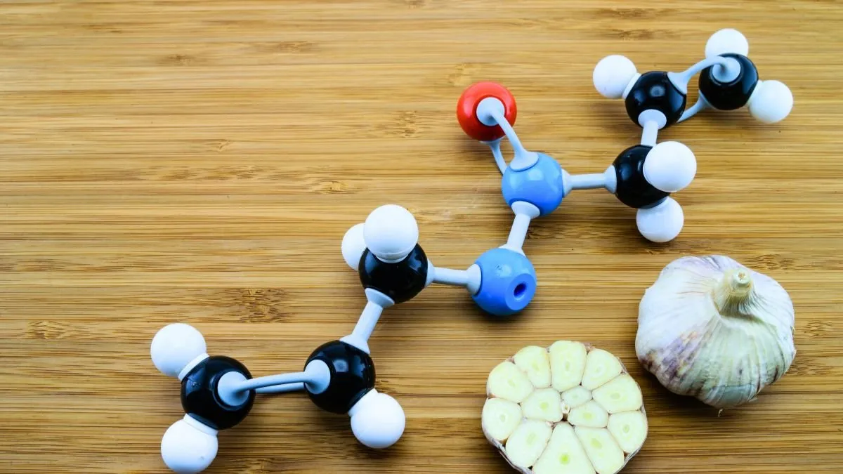 Ball-and-stick molecular model next to a head of garlic and a sliced clove, on a bamboo board