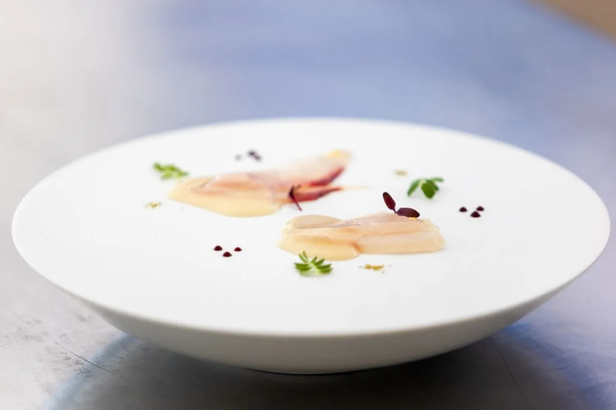White plate with two slices of raw fish, shoots and dots of sauce
