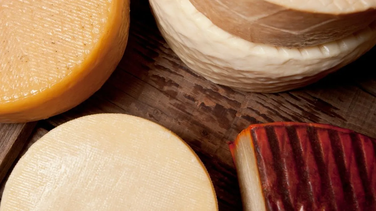 Four Canarian goat cheeses of different maturities on a wooden board