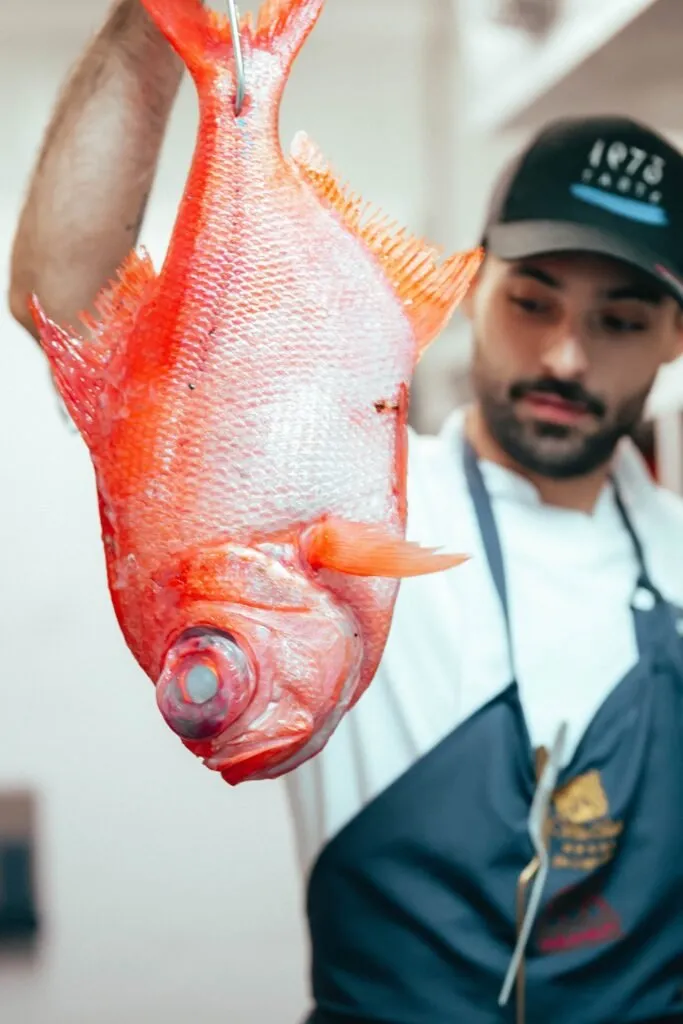 Cook wearing a Taste 1973 cap holding a whole red fish