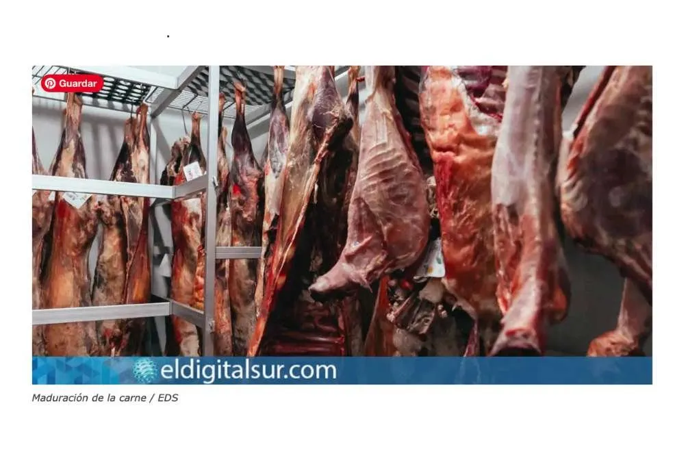 Press clipping with the goat carcasses hanging in the ageing chamber