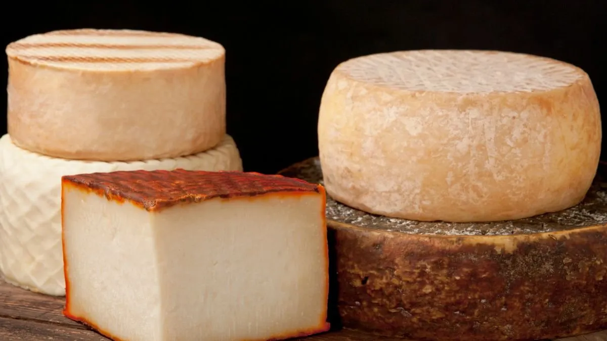 Whole Canarian cheeses next to a wedge with its rind coated in paprika