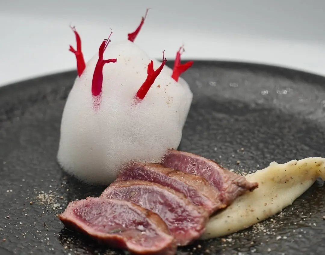 Slices of matured goat loin with foam and red shoots on a slate plate