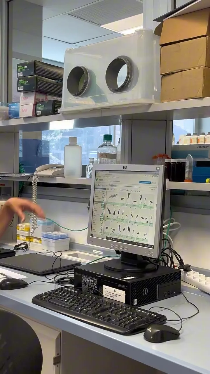 A computer screen on a laboratory bench showing a gallery of microscopic images of small marine organisms, surrounded by flasks, pipettes and boxes of equipment