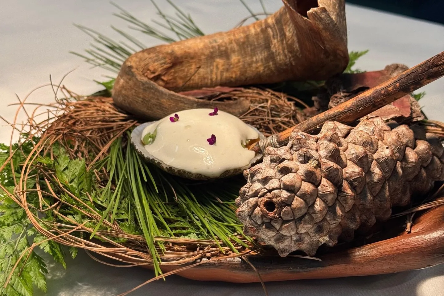 A bite served on a shell, with a pale foam and purple flowers, resting on a wooden tray with pine cones, pine needles, ferns and a horn