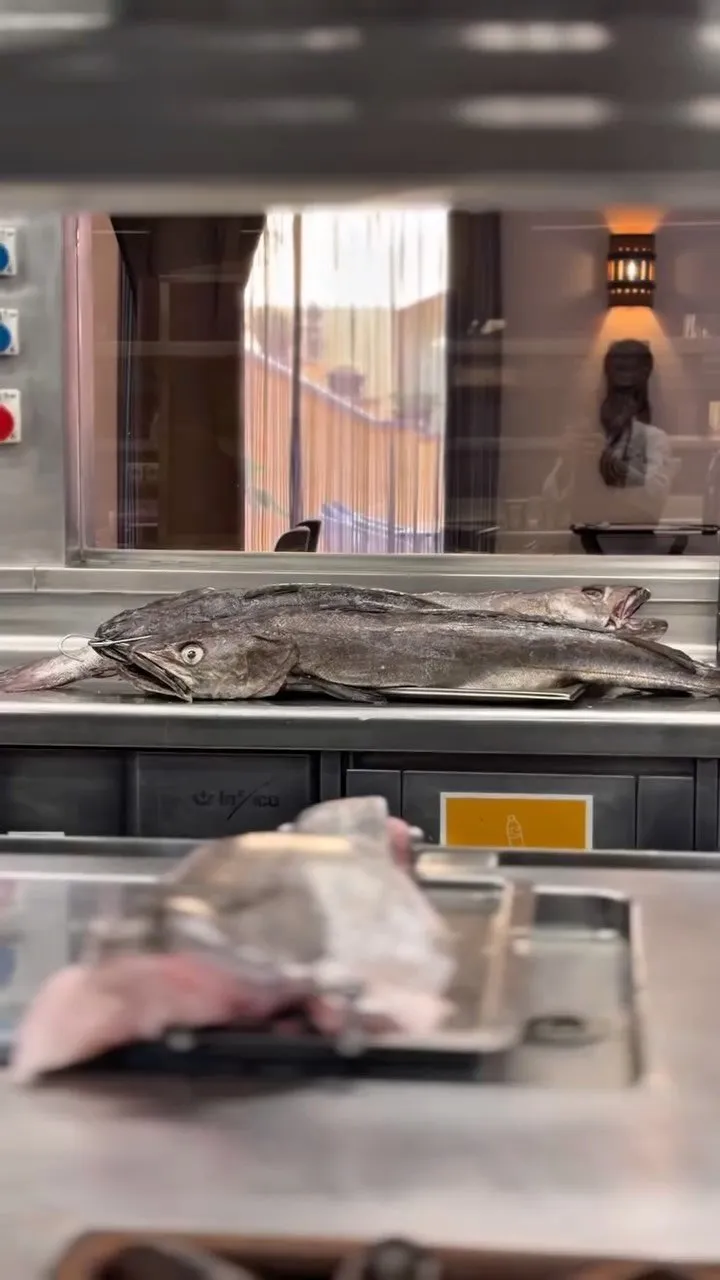 Two whole hake on the stainless steel worktop of the Taste 1973 kitchen, with the restaurant’s dining room visible behind the glass