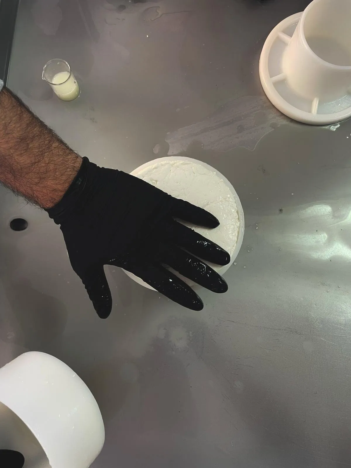 Gloved hand holding a freshly moulded white curd on a steel table