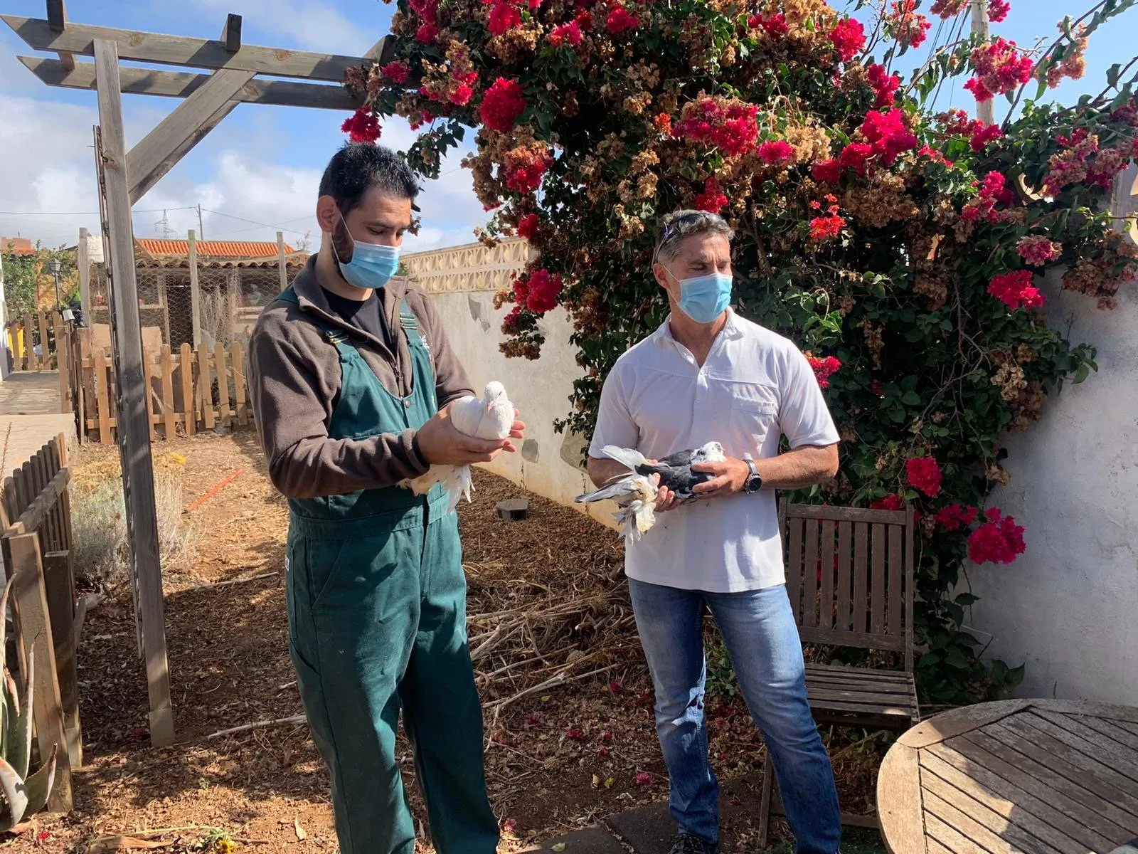Two men examine two hens in the courtyard of the research centre