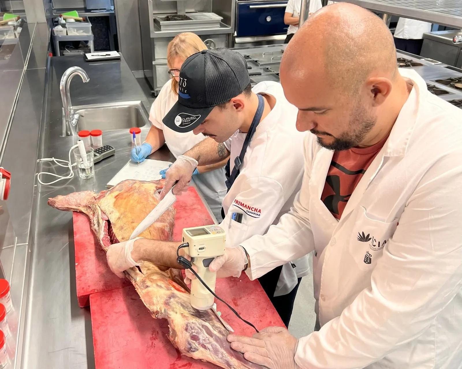 Researchers in white coats measure a piece of goat meat with a probe