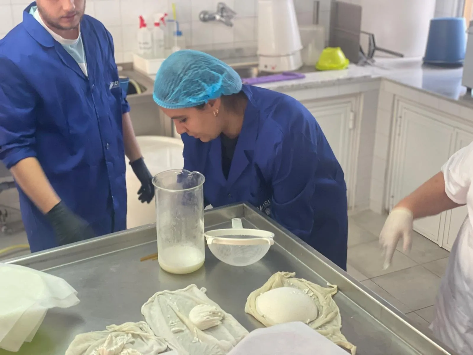 Team in blue coats making artisan cheese next to a milk sample tube