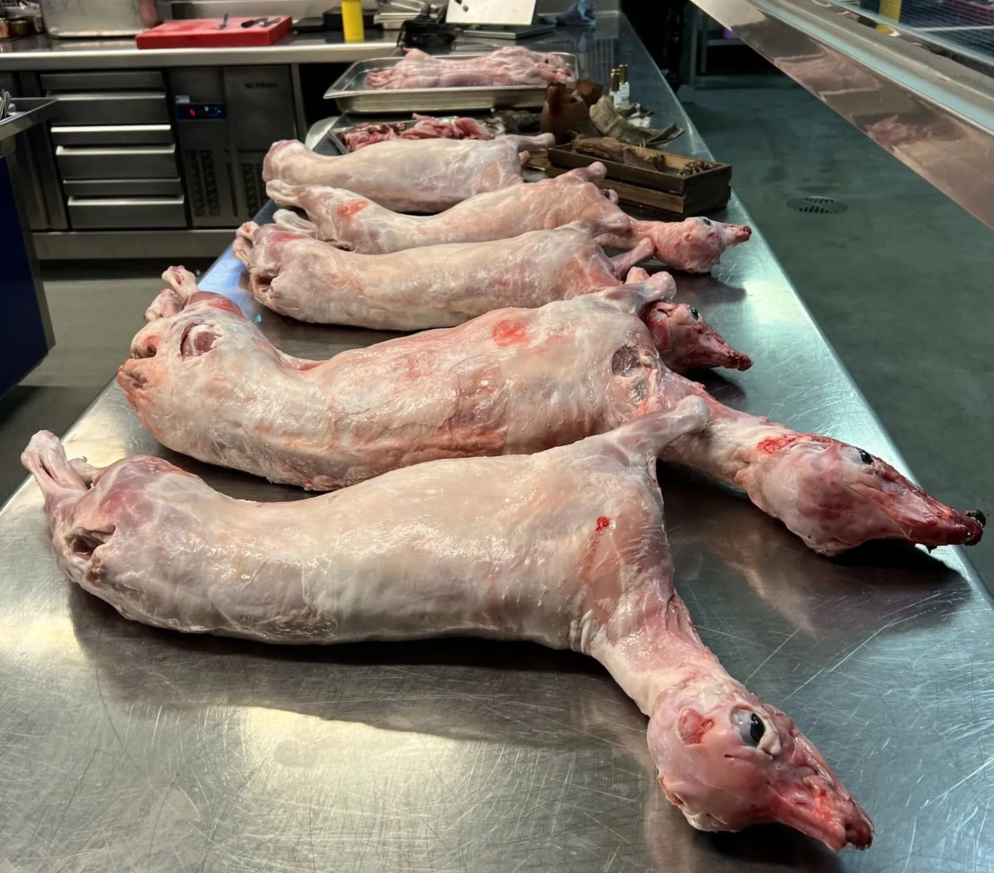 Several goat carcasses lined up on the kitchen’s steel table