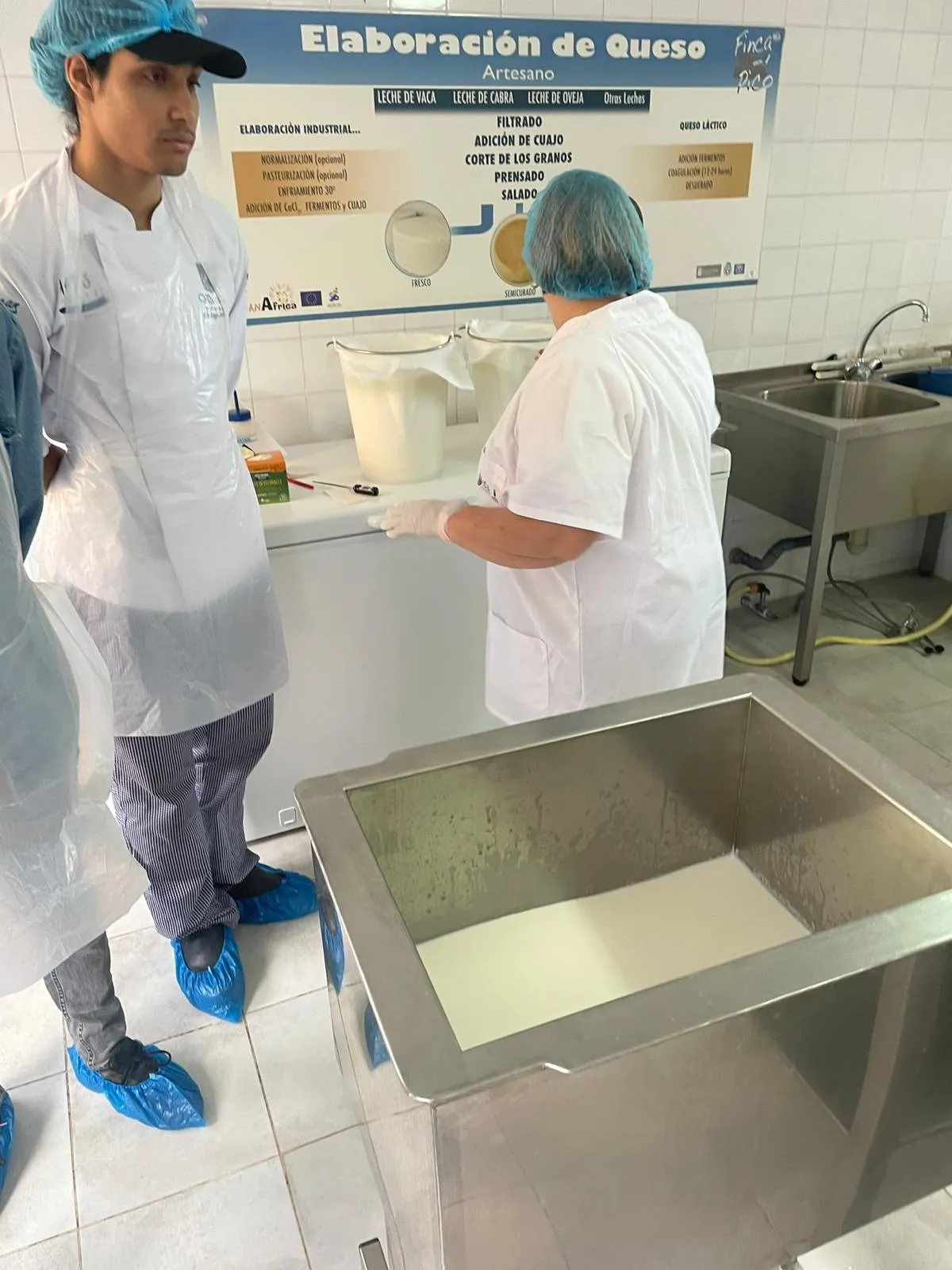 Two cooks pour milk into the vat next to the cheesemaking panel
