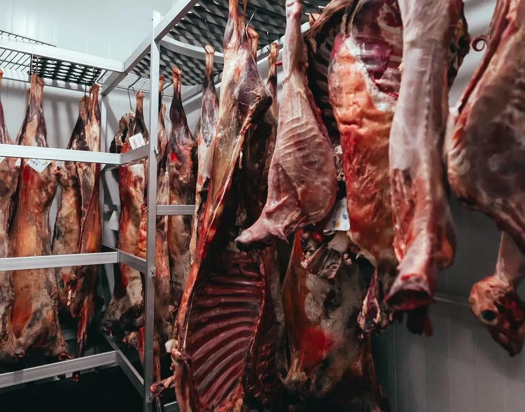 Goat carcasses hanging in the ageing chamber