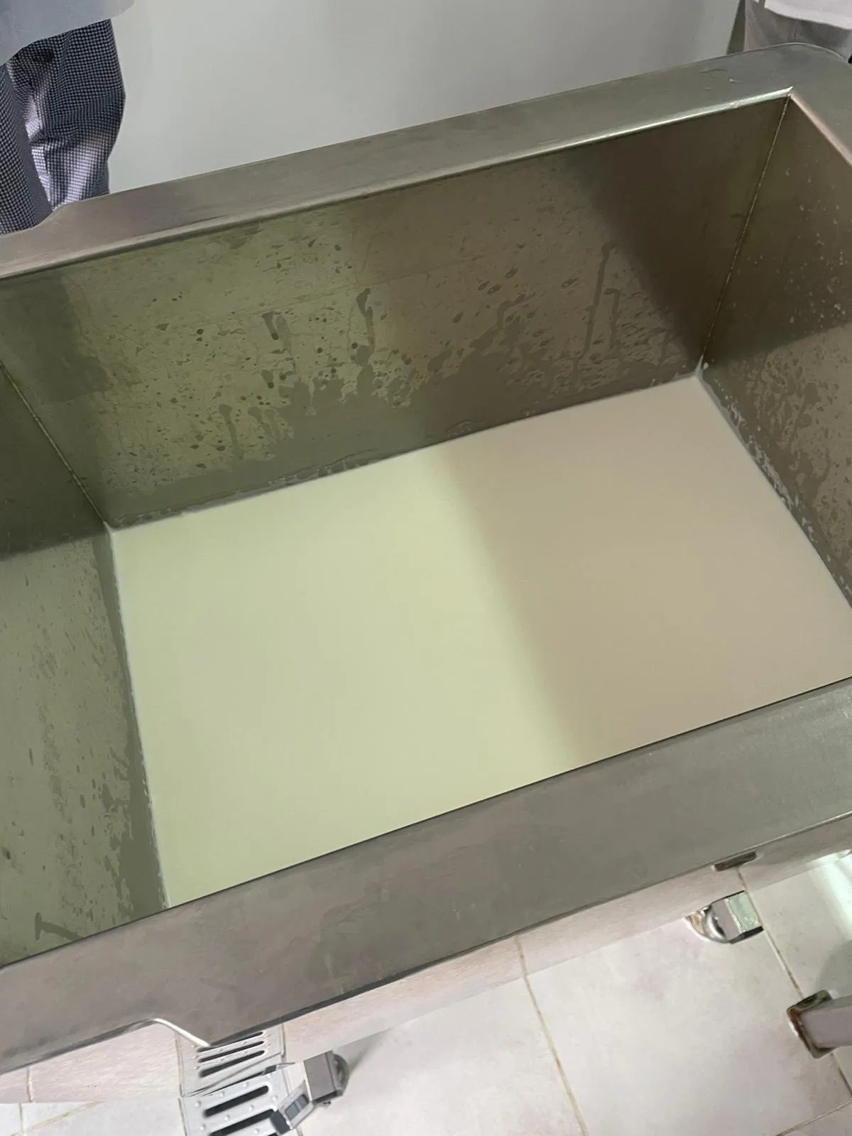 Stainless steel vat with the curdled milk during lactic fermentation