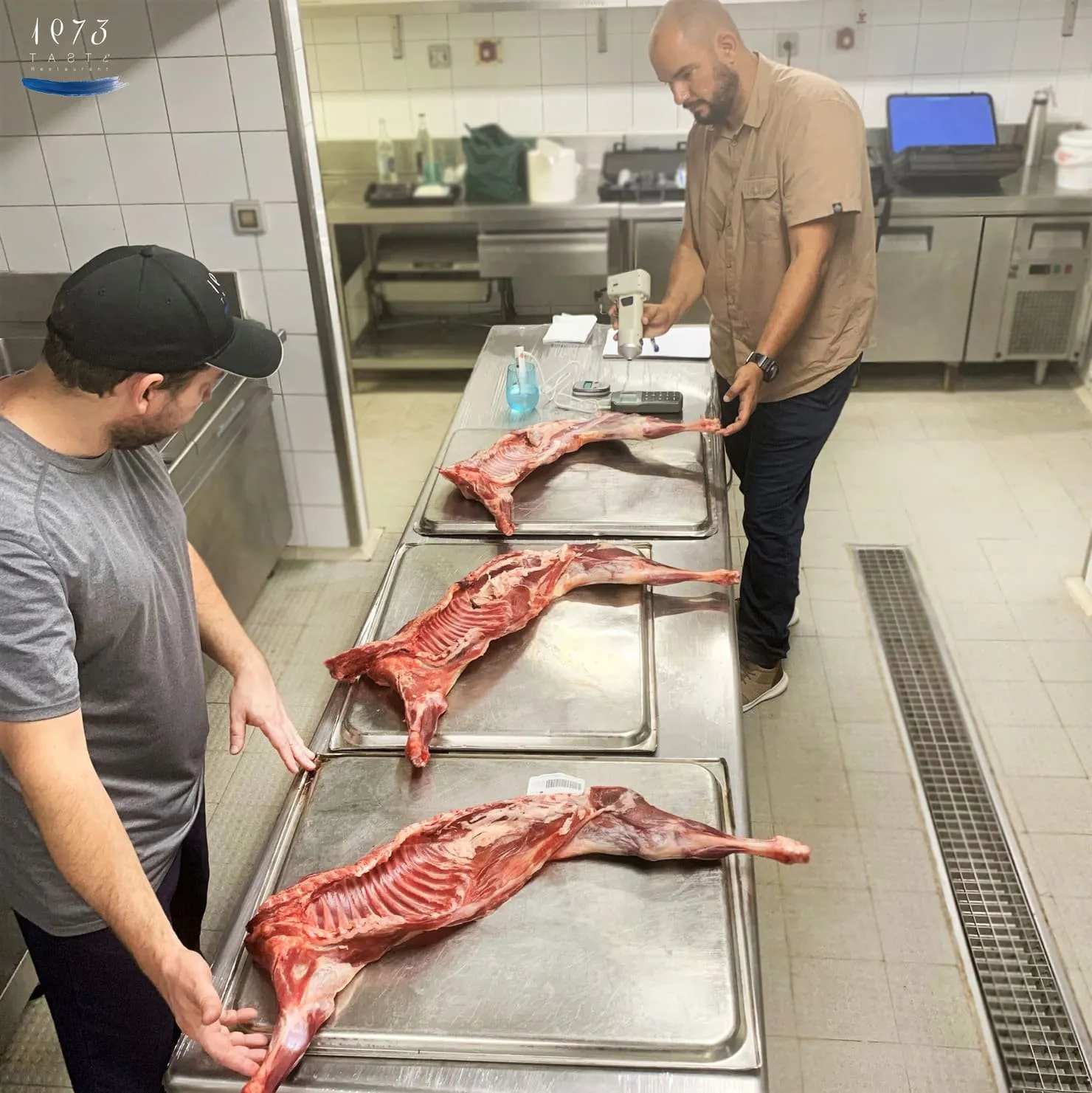 Two team members measure three goat carcasses on steel trays