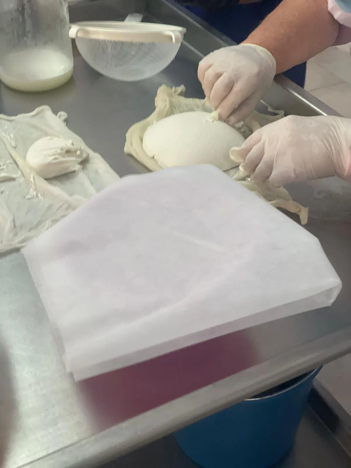 Gloved hands unmoulding a fresh cheese curd onto a cheesemaking cloth