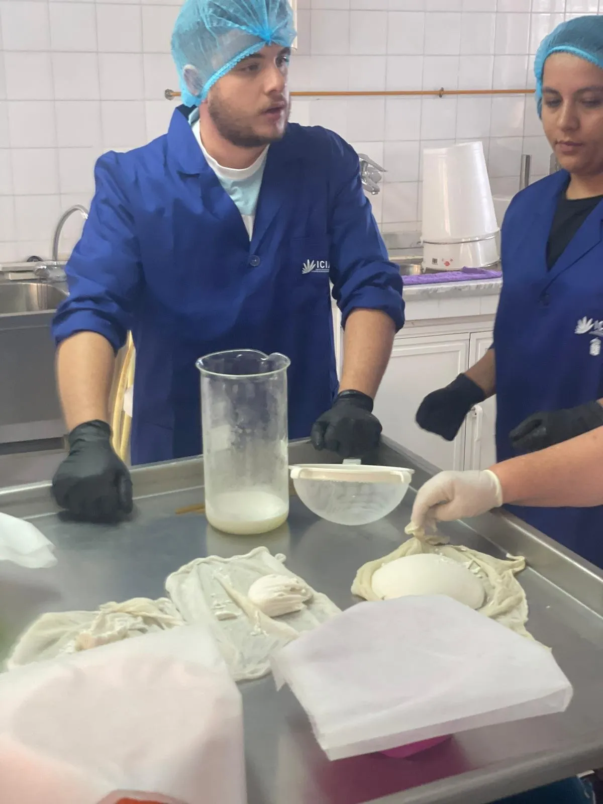 Two technicians measuring goat’s milk and moulding curds on the work table