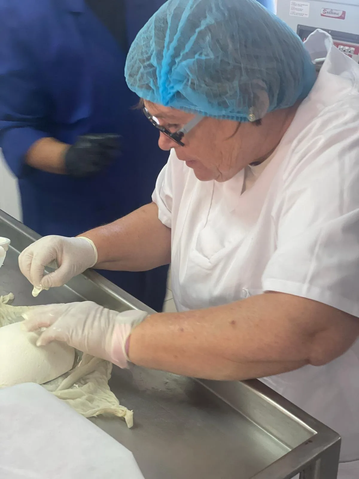 Cheesemaker moulding a fresh cheese by hand, wrapped in a cloth