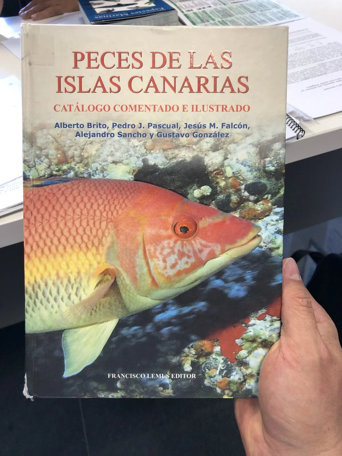 A hand holds the illustrated catalogue “Peces de las islas Canarias” (Fish of the Canary Islands)
