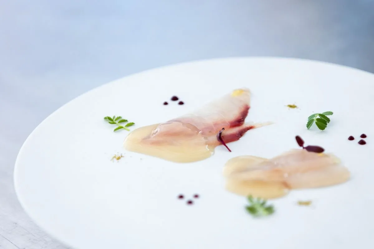 Loins of matured fish with shoots and flowers on a white plate