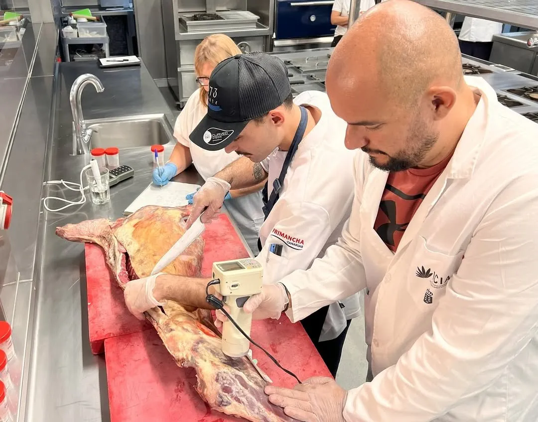 Instrumental measurement with a probe on a goat carcass