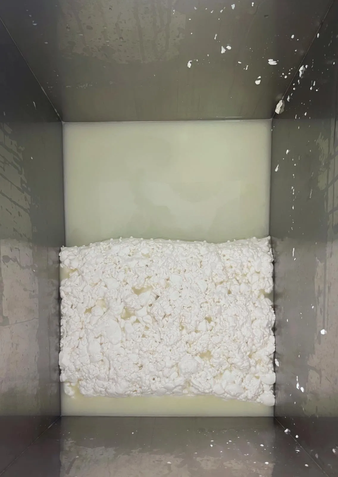 White pressed curd inside the steel vat before moulding
