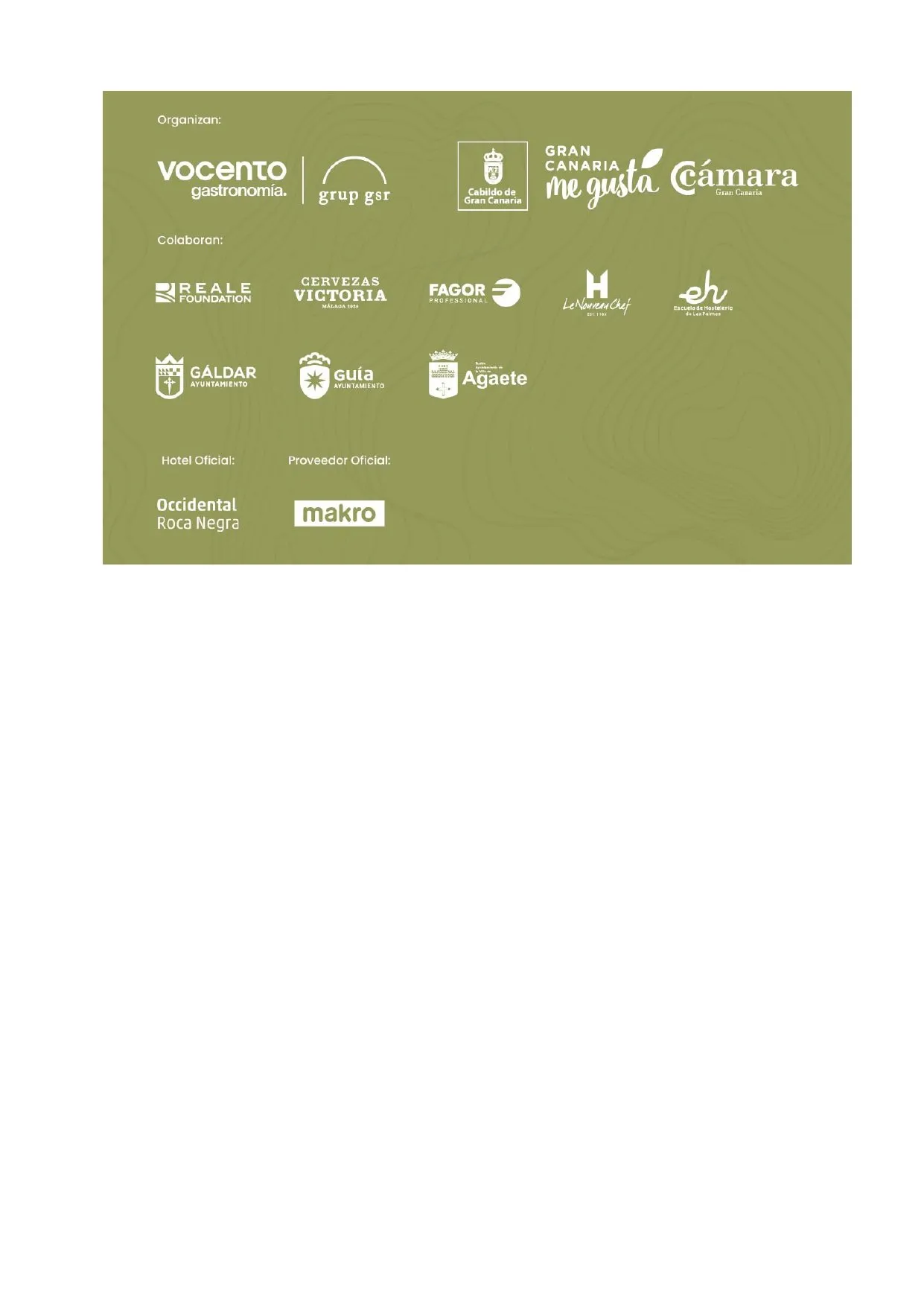 Second page of the Declaration of Gran Canaria from Terrae 2024, with the logos of the organising and collaborating bodies