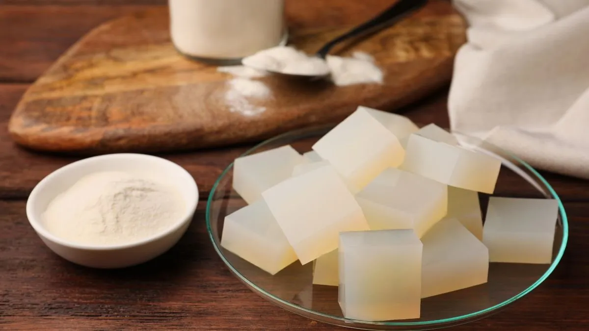 Cubes of agar-agar jelly on a glass plate, next to a bowl of agar-agar powder