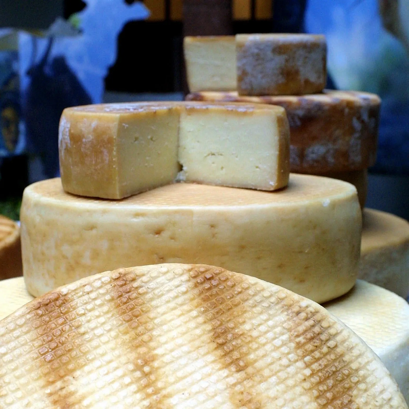 Stacked artisan goat’s milk cheeses, their rinds marked by the mould