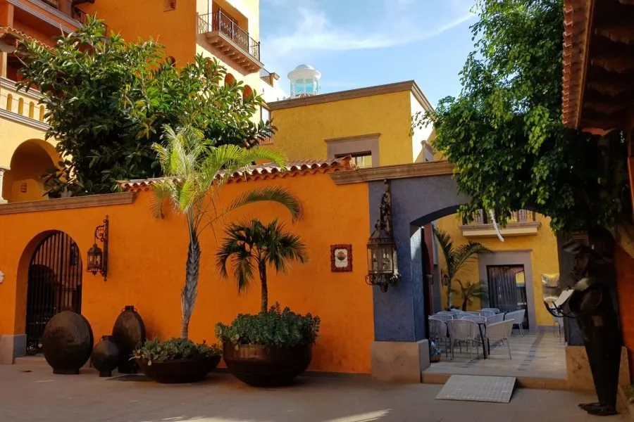 The Veracruz restaurant patio, with orange and yellow walls, palm trees in clay pots and tables in the background