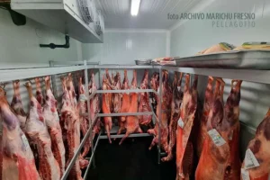 técnicas de maduración de carne de cabra madurada - chef diego schattenhofer